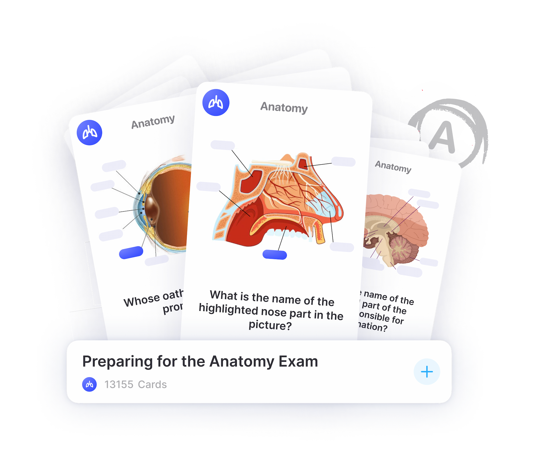 Exam preparation